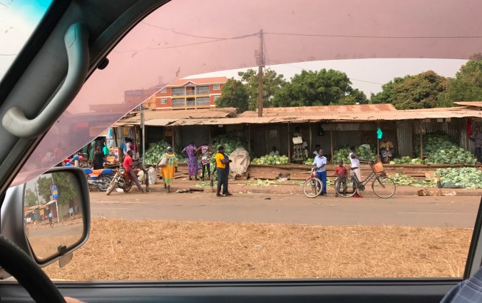 Plenty of cabbage to go around